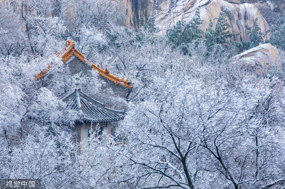 黄色高清视频下载