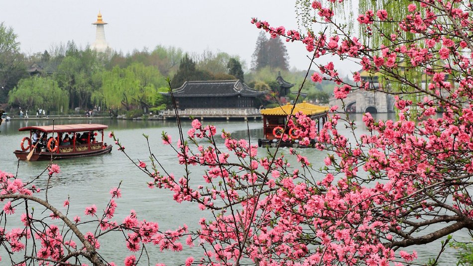 ���Ż���Ҫ�����������ݼ����߱��������к��г�Ԥ�� �Ƽ���������Դ�г���Ϊ��עƫ��