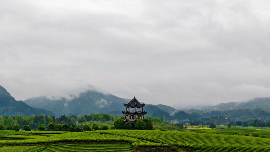 ���ʱ��72Сʱ���º�������籩����������������ľ�ȡ��ͷ���������š��