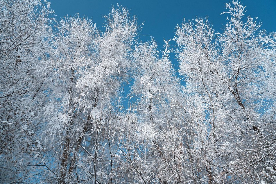超市,海鲜,刺身,榴莲,保安,小区,榴梿