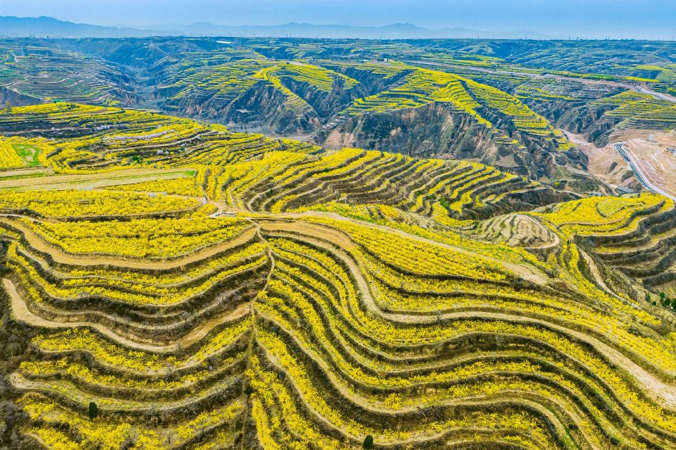 特斯拉2月份欧洲销量同比增添10%示意图