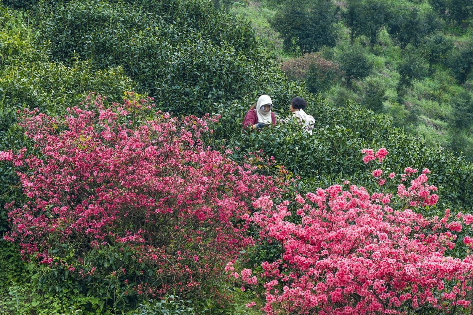 英伟达和亚马逊临时关关迪拜办公室，谷歌数十名员工滞留