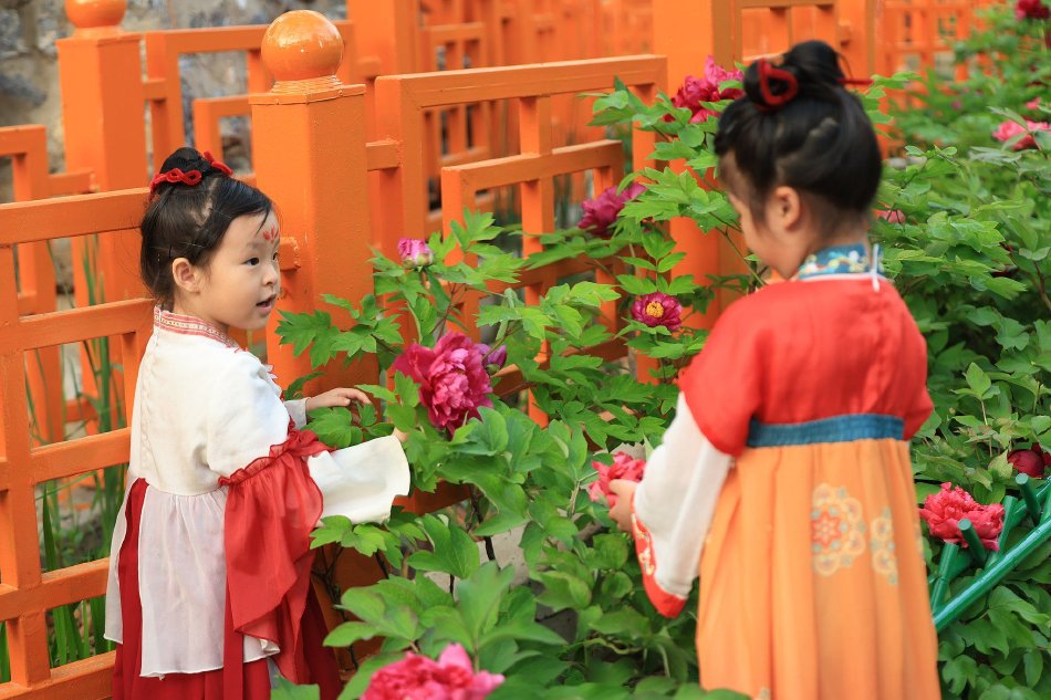 ������ů��������Ǩ�� ȫ���ʹ�Ӧ�����ٵ���