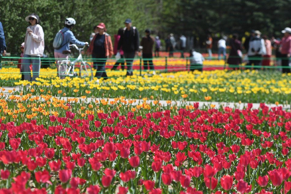 �¹�A�ɣ�������Դ�г�������Щ�ص���������������