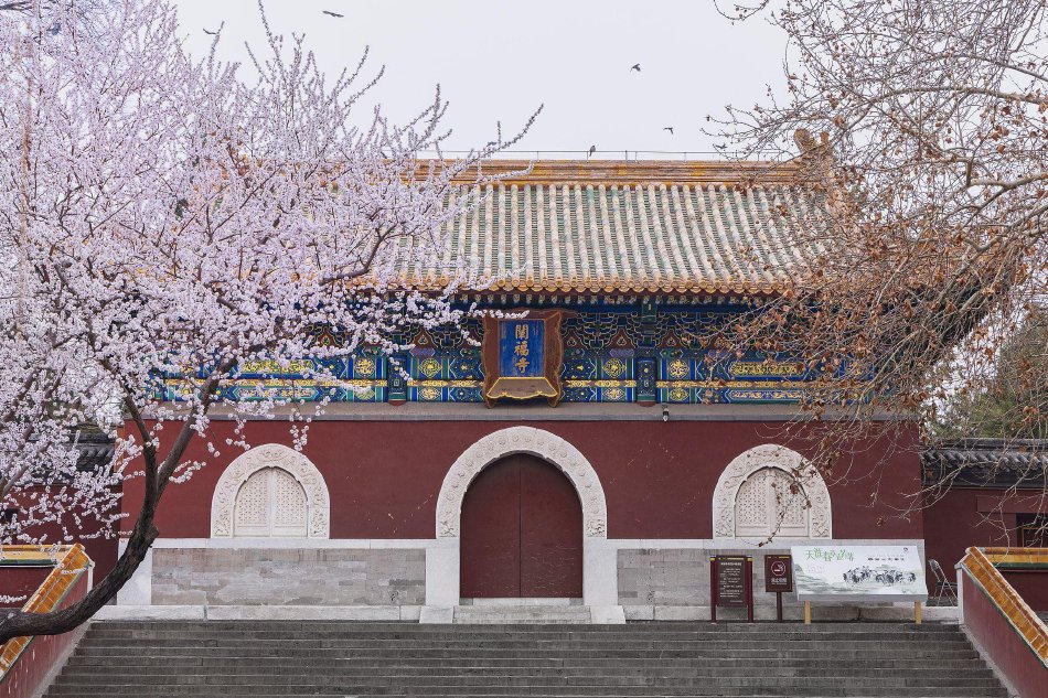 博通预计二季度AI营收达84亿美元 授权100亿美元股票回购