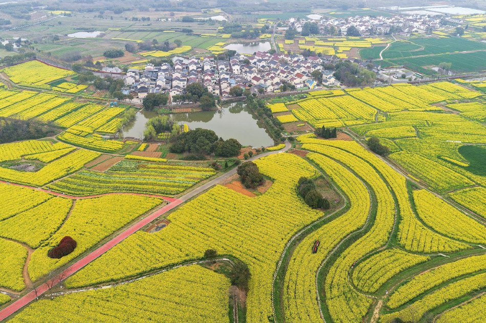 这些ETF，，，显著“吸金”