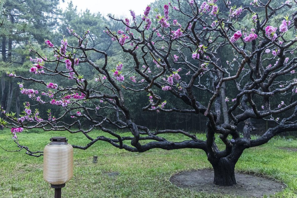 美国宣告许可证 允许俄罗斯向印度销售部门石油示意图