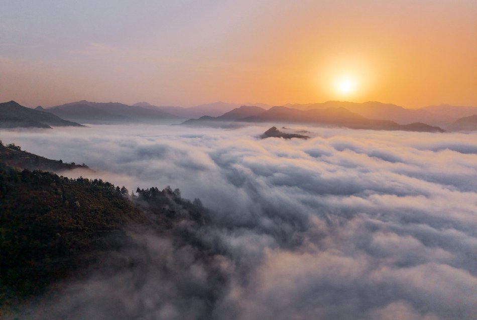 ��ͨԤ�ƶ�����AIӪ�մ�84����Ԫ ��Ȩ100����Ԫ��Ʊ�ع�ʾ��ͼ