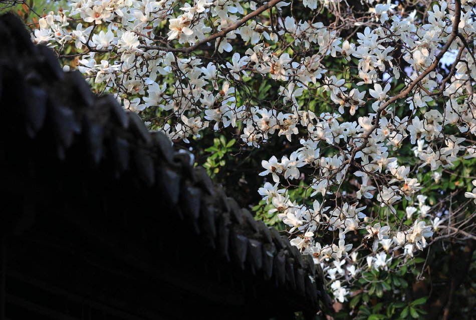 中际旭创：：公司现在没有涉及激光器营业示意图