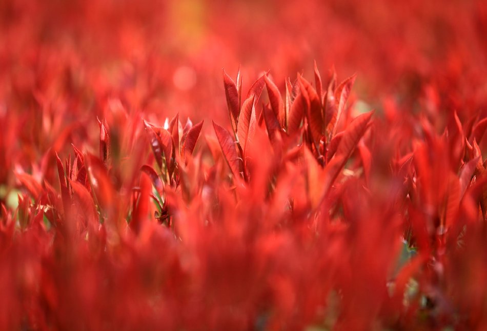 中原基金：施展专业优势，，，，，助力新质生产力生长示意图