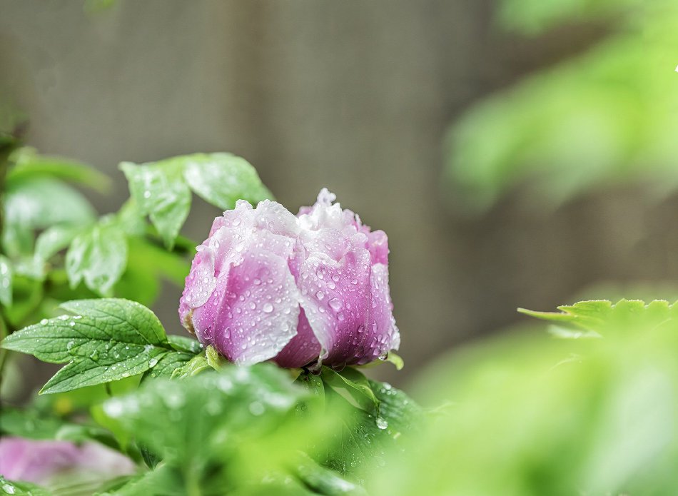 ���޿���South32�������������׼��Ī���������ݰ�ʾ��ͼ