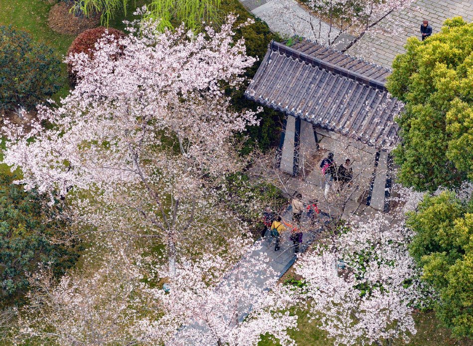 美媒披露伊朗中东战争高危害迎战战略：升级为地区性冲突示意图