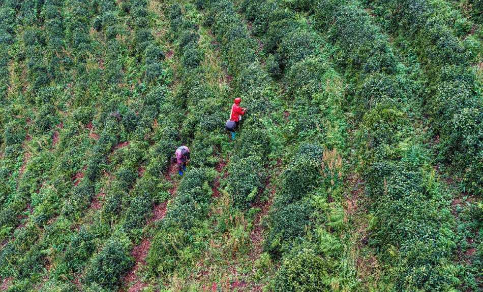 美国国税驹旖均退税金额上涨10.6%示意图