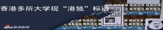 林郑月娥:校园挂“港独”横幅海报属有组织行为_新浪专题