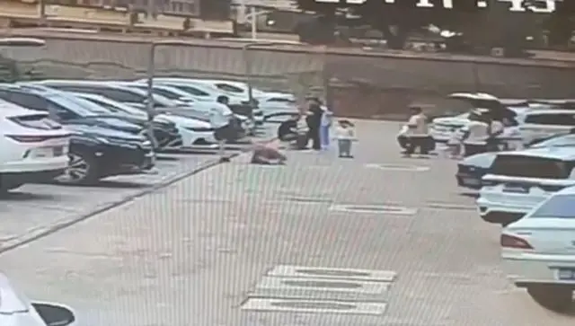 　图/公共视频截图