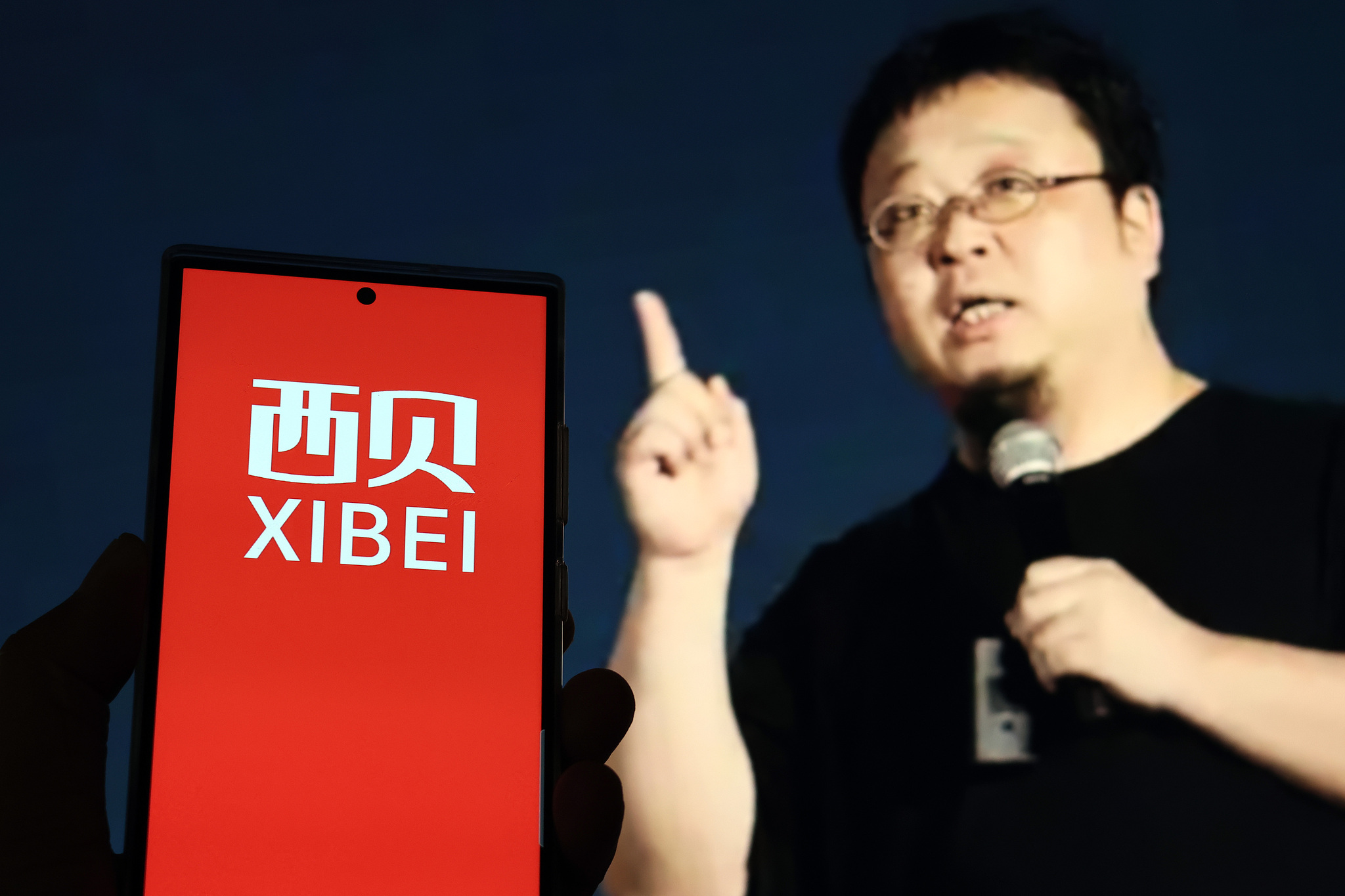 西贝是一家什么样的公司