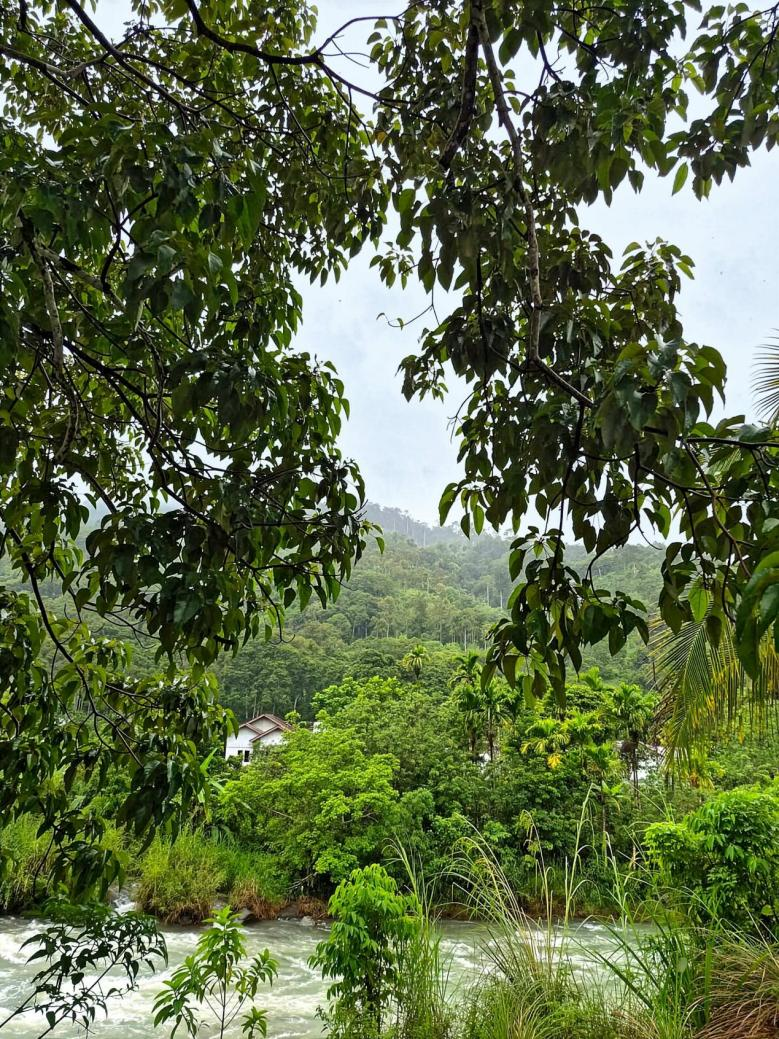 蘇門答臘亞齊省的原始森林貝通森林（Beutong Forest）。由於該地區一直面臨著土地開發和森林砍伐壓力，2026年勞力士大獎得主法維紮·法爾漢（Farwiza Farhan）挺身而出，帶領當地民眾守護這一獨特的生態系統。©Haka