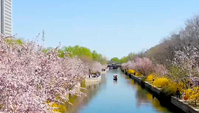 微视频｜为美丽中国增绿添彩