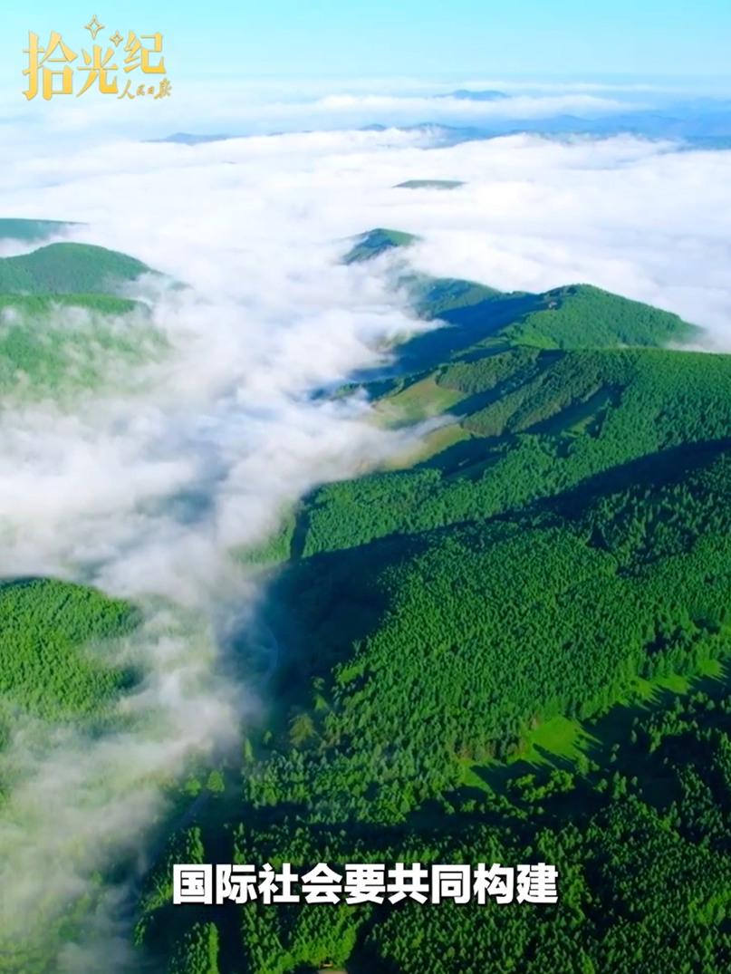 拾光纪·“植”此青绿，跟着总书记共建美丽家园