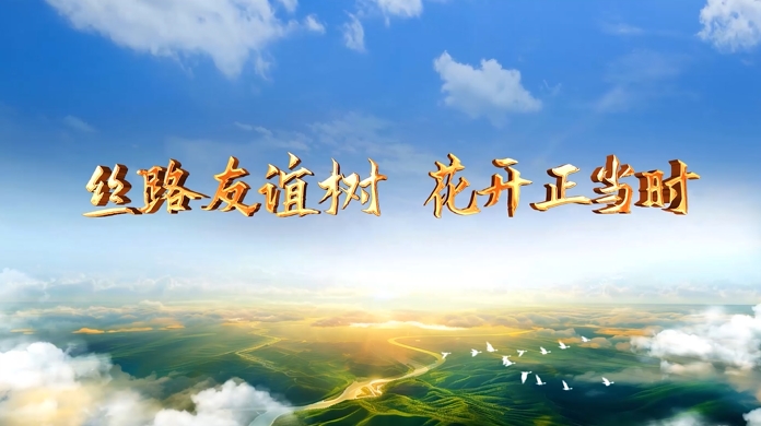 大道之行丨丝路友谊树 花开正当时