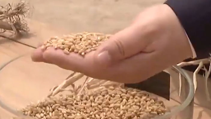 习语｜“始终绷紧粮食安全这根弦”