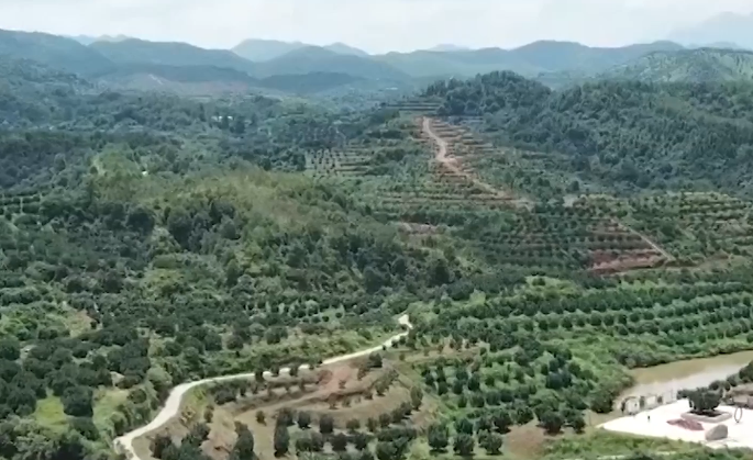 近镜头丨一个个温暖瞬间中感受总书记的深情牵挂