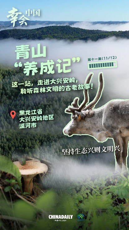 幸会中国 | 走进大兴安岭，见证生态兴文明兴的力量