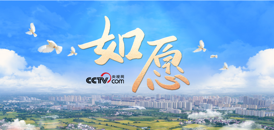 时政微视频｜如愿