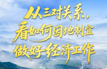 壹视界·任平文章解读｜从三对关系，看如何因地制宜做好经济工作