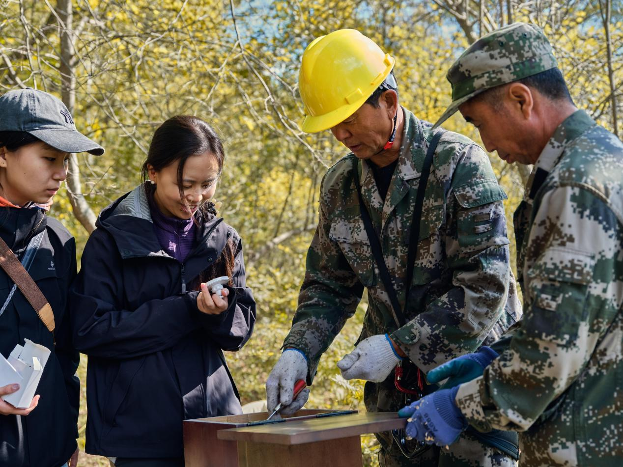 曾晴博士和團隊成員，正在安裝中華秋沙鴨的巢穴。© Rolex/Zhezhou Fu