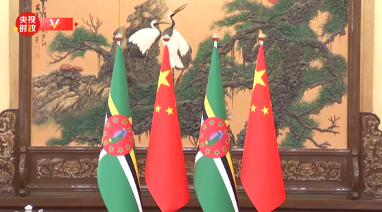 独家视频丨习近平：多米尼克是中国在加勒比地区的好朋友 好伙伴