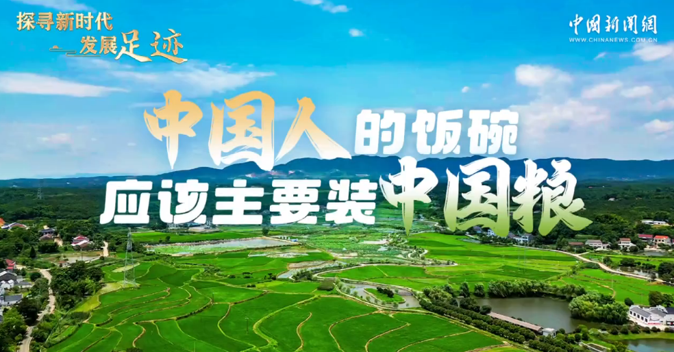 探寻新时代发展足迹｜中国人的饭碗应该主要装中国粮