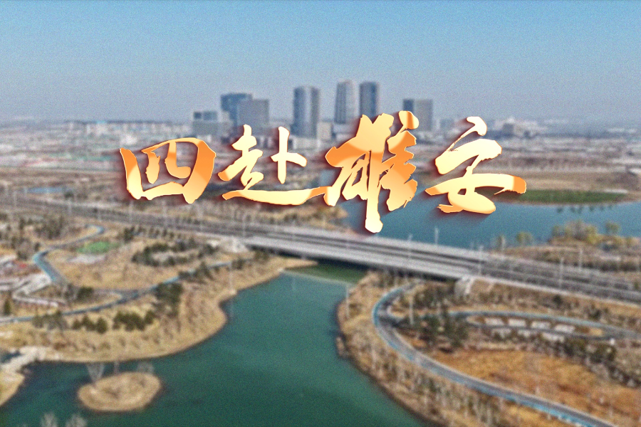 时政专题片丨四赴雄安