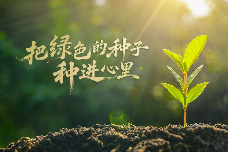 时政微视频丨把绿色的种子种进心里