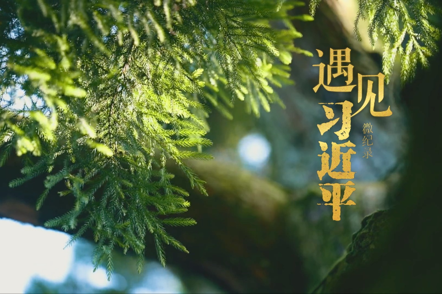 遇见习近平丨跨越山海，续写“鼓岭情缘”