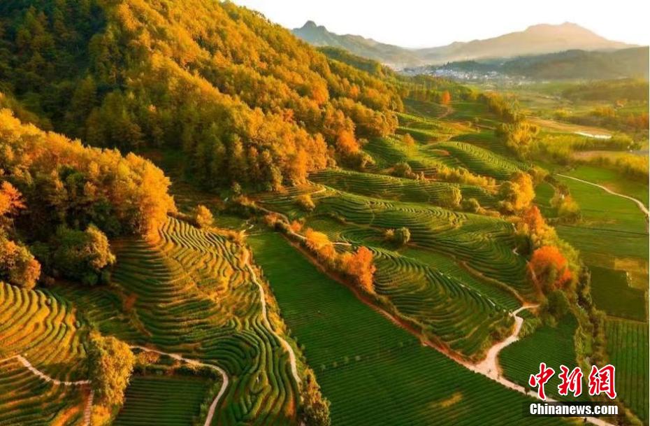 冬日武夷色彩斑斓