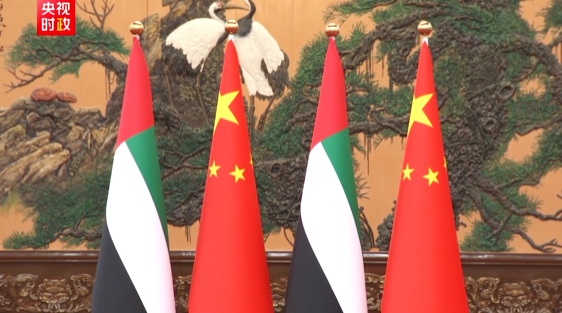 独家视频丨习近平：打造更加稳固坚韧、富有活力的中阿全面战略伙伴关系