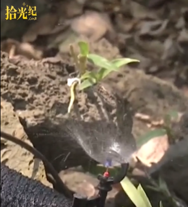 拾光纪·“三农”工作在习近平心里分量满满