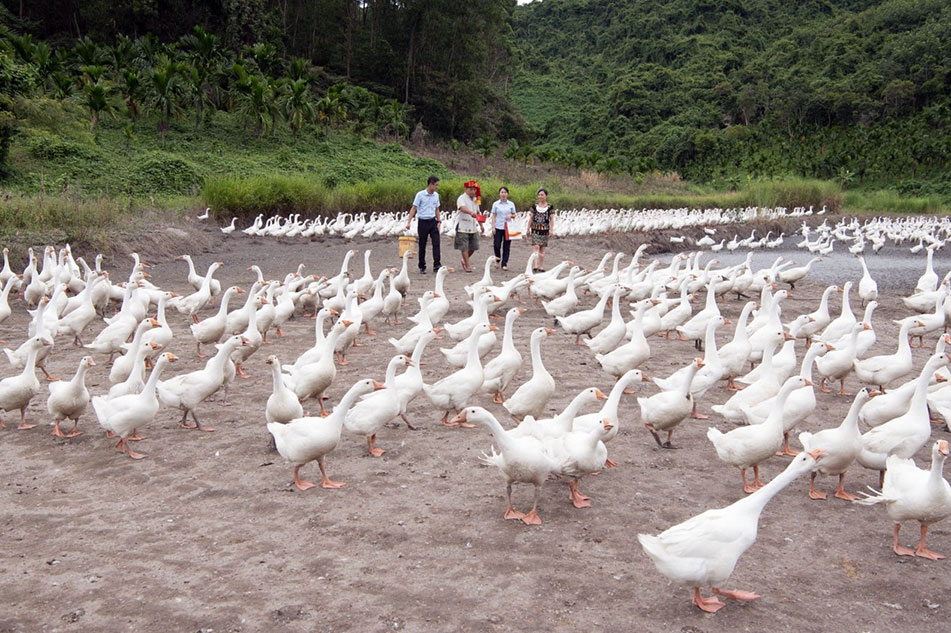 美好生活之路 进步与您同步——金融夜校照亮脱贫攻坚之路