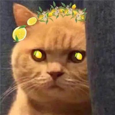 太拼!考研生每天站窗口背书7小时 最后一幕酸了