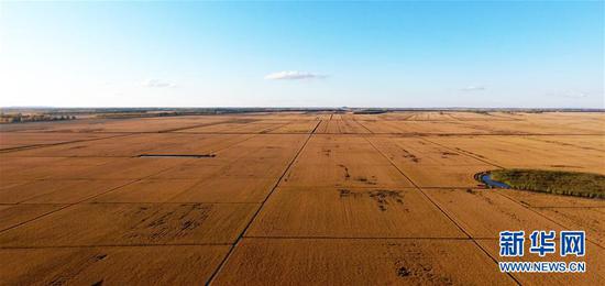 这是9月26日无人机拍摄的黑龙江农垦建三江管理局七星农场稻田。新华社发（顾景坤 摄）