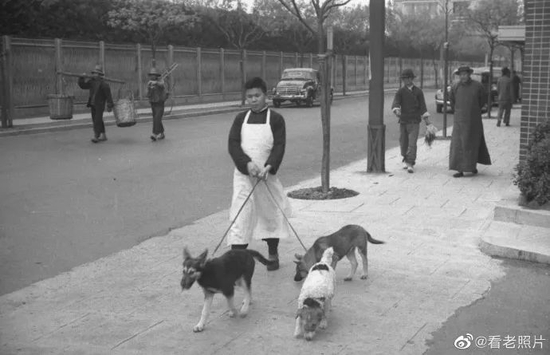 · 20世纪30年代的专业遛狗师傅。图自李虹微博。