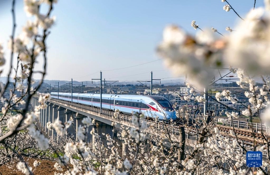动车组列车在成贵高铁贵州黔西段行驶（2022年3月7日摄）。 新华社发（范晖 摄）