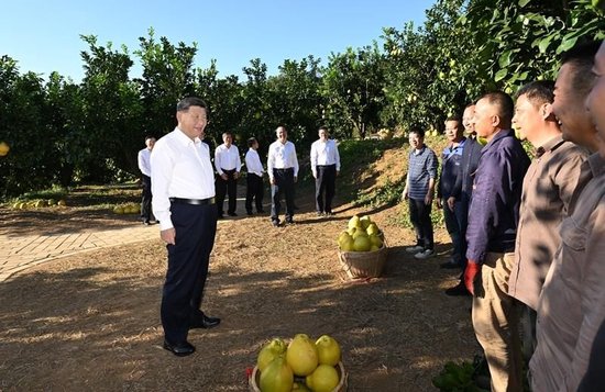 时政微观察丨政绩之本，在于为民