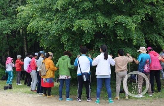 端午节,感知习近平深沉的家国情怀