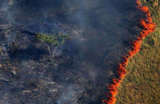 ·2019年亚马孙森林火灾（资料图）。