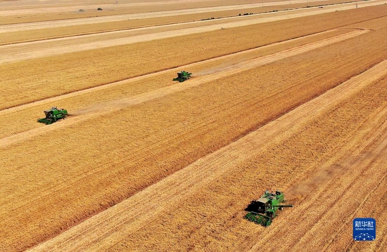 在河南省黄泛区农场九分场的麦田里，农机手操作收割机收获小麦（无人机照片，2021年6月6日摄）。新华社记者 李安 摄