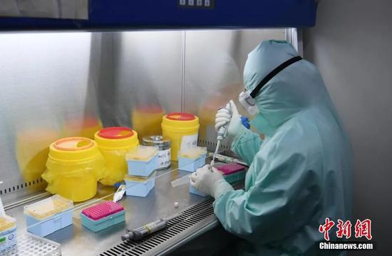 资料图：检验人员在生物安全柜进行核酸样本提取。中新社记者 韩苏原 摄