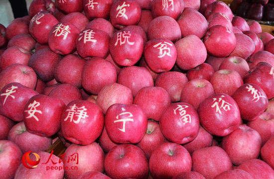 （静宁苹果色泽鲜艳、个大形正、质细汁多，还获得过中国国家地理标志产品称号。资料图）