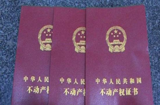 手持假證偶遇真房主